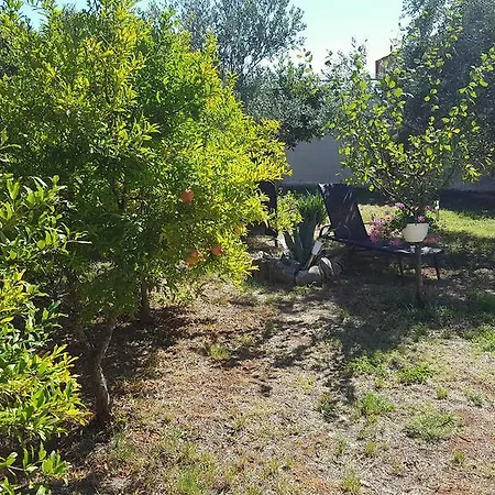 Morosini *